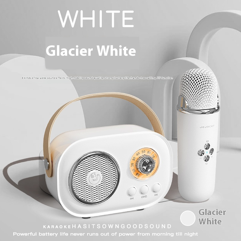 Portable Wireless Karaoke Microphone Set