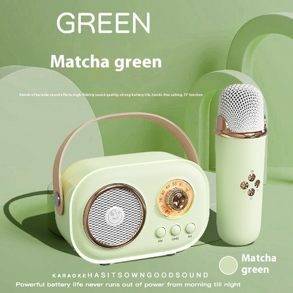 Portable Wireless Karaoke Microphone Set