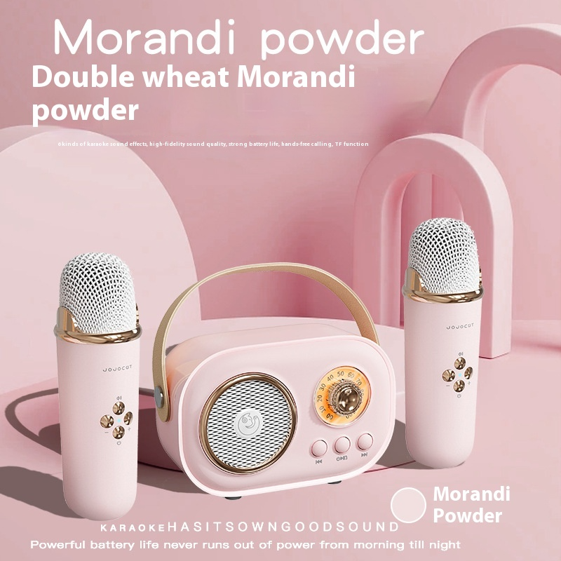 Portable Wireless Karaoke Microphone Set