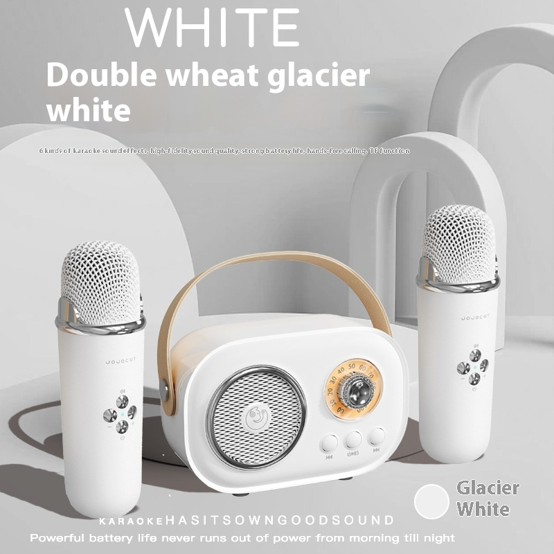Portable Wireless Karaoke Microphone Set