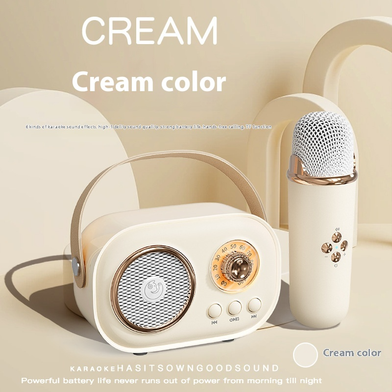 Portable Wireless Karaoke Microphone Set